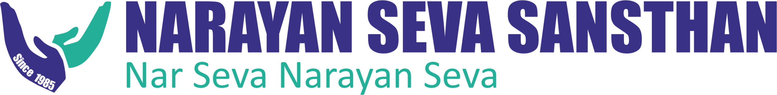 NSS png logo1 (2) (1)